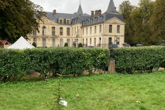 2021-11-05-Plantation cèdre-France (38)